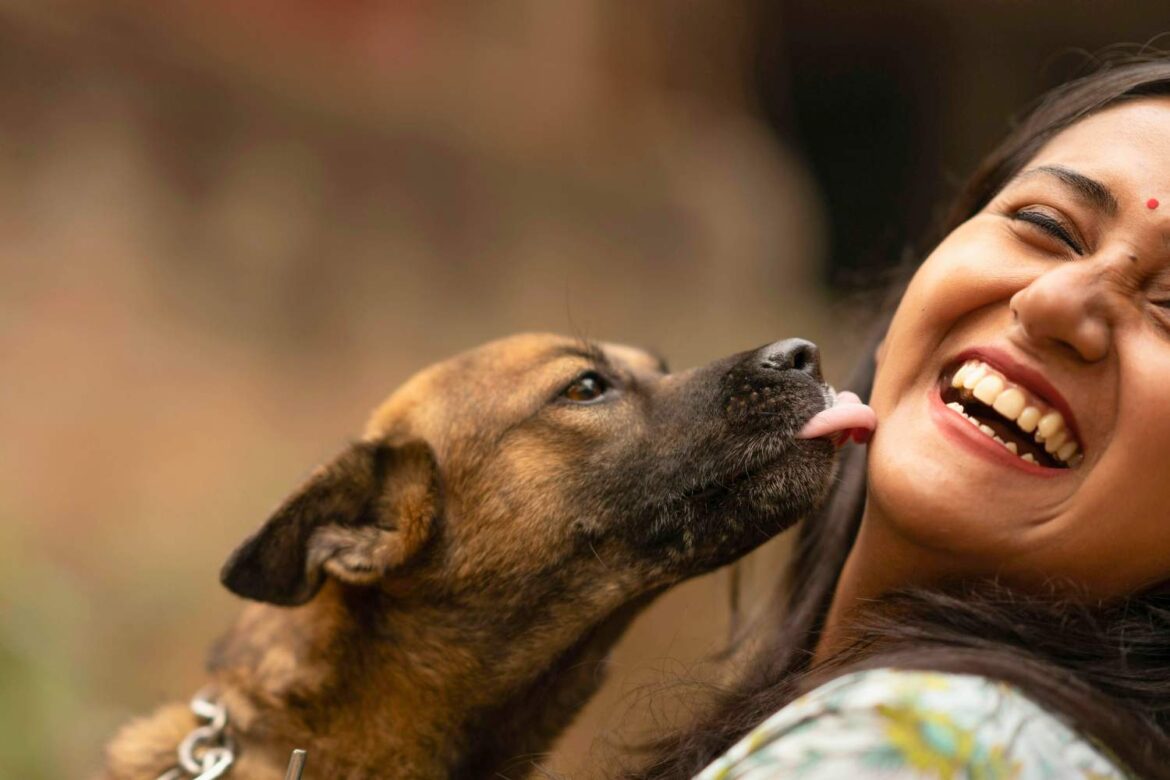 Dlaczego nie wolno krzyczeć na psa