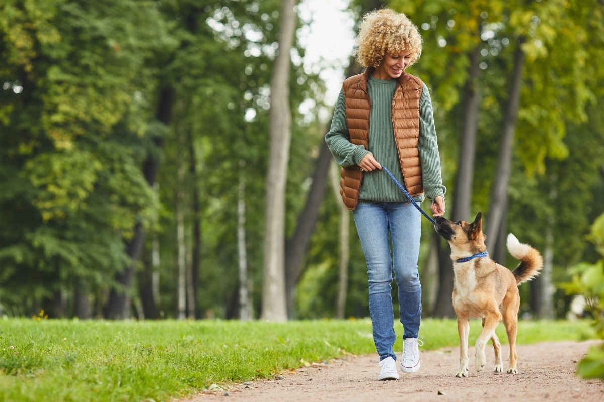 Pies chodzenie przy nodze i na luźnej smyczy praktyczny poradnik szkolenia